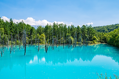 Blue Pond Blue Pond